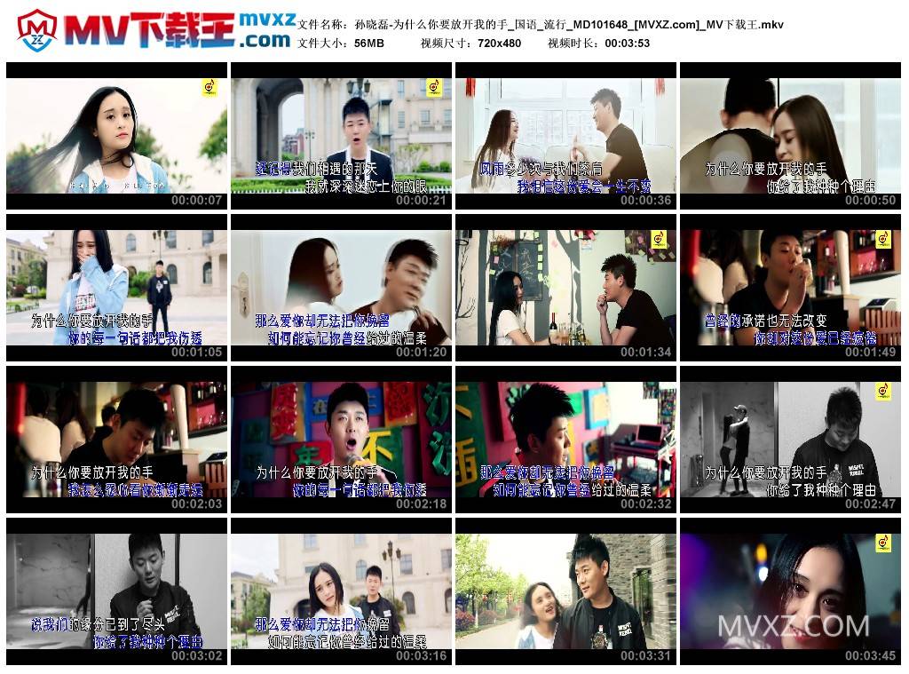 孙晓磊-为什么你要放开我的手_国语_流行_MD101648